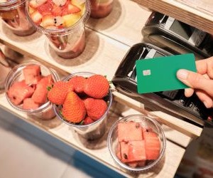 Kryptowährungen bieten hohes Renditepotenzial und mehr finanzielle Freiheit durch Dezentralisierung und einen rund um die Uhr geöffneten Markt. Aufgrund extremer Volatilität und mangelnder Regulierung stellen sie jedoch ein hohes Risiko dar. Zu den Hauptrisiken zählen schnelle Verluste und Cyberangriffe. Der Schlüssel zum Erfolg liegt darin, nur mit einer klaren Strategie und mit Kapital zu investieren, das die finanzielle Stabilität nicht gefährdet.